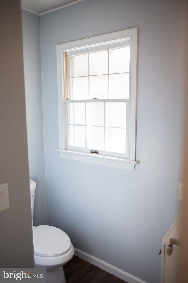 bathroom with toilet and hardwood / wood-style flooring