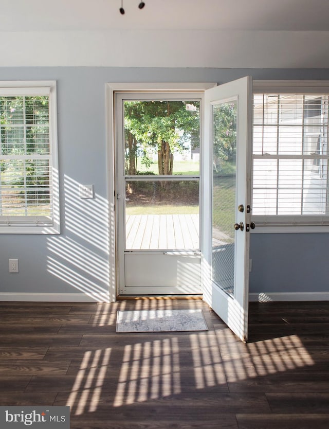 doorway featuring french doors, dark hardwood / wood-style floors, and a healthy amount of sunlight