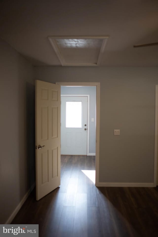 hallway featuring wood-type flooring