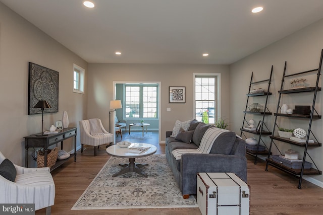 living room featuring light wood-type flooring