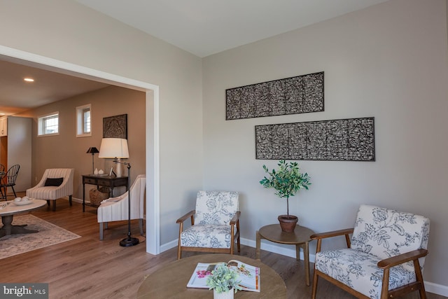 sitting room with hardwood / wood-style flooring