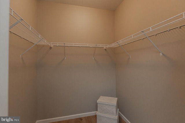 spacious closet featuring hardwood / wood-style flooring