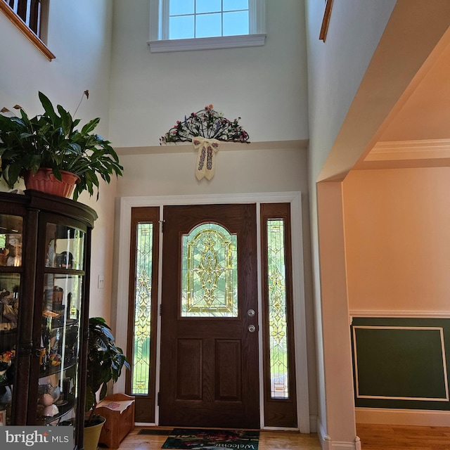 entrance foyer featuring a towering ceiling, plenty of natural light, and hardwood / wood-style floors