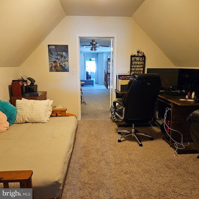 interior space with vaulted ceiling