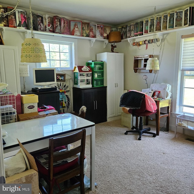 interior space featuring a healthy amount of sunlight