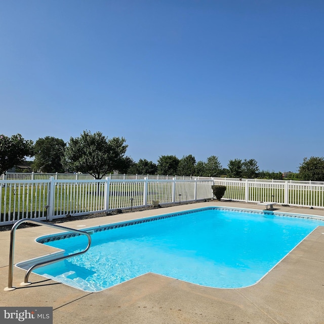 view of swimming pool featuring a diving board and a patio area