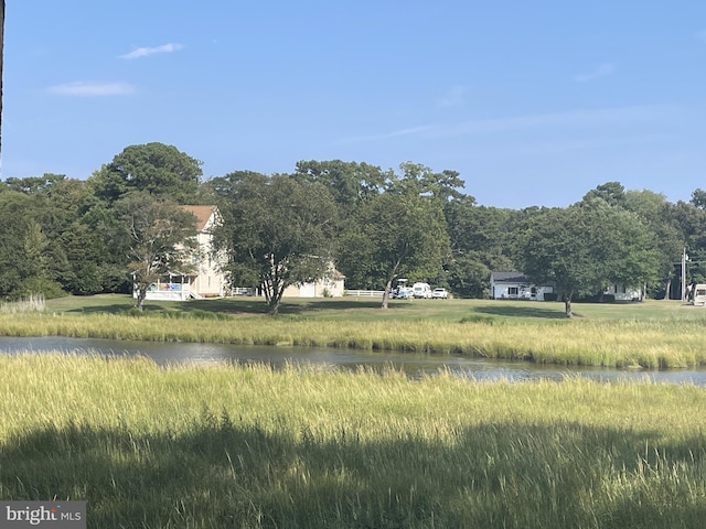 view of local wilderness