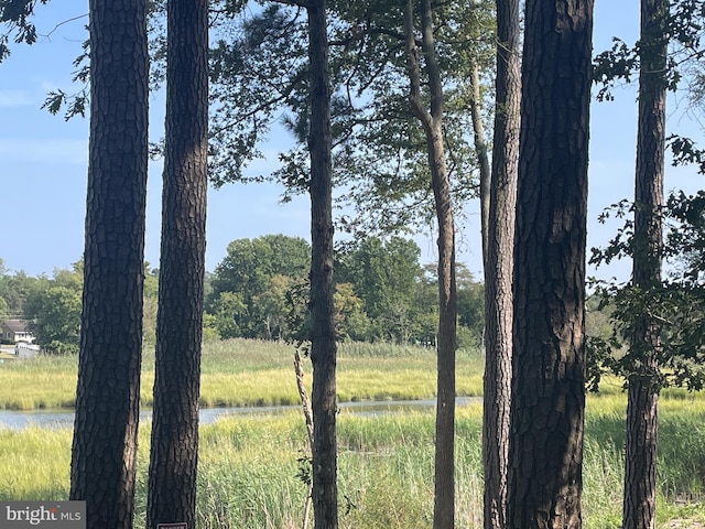 view of nature featuring a water view