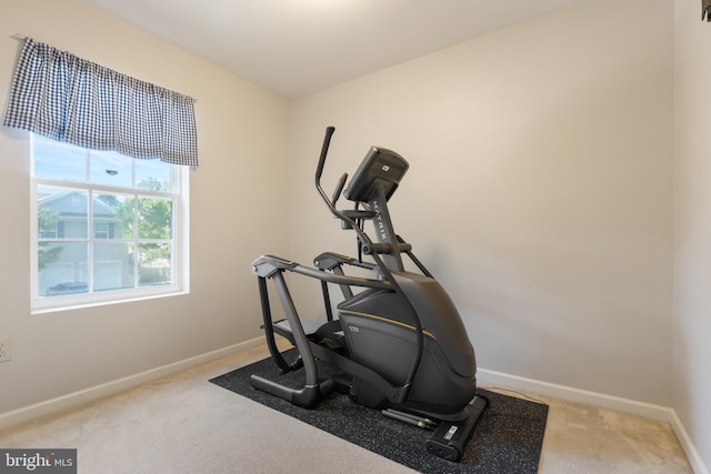 exercise area featuring carpet