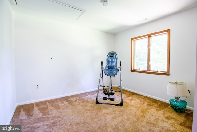 workout room with visible vents, baseboards, attic access, and carpet flooring