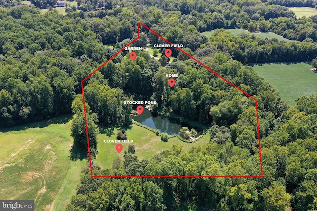 birds eye view of property with a wooded view and a water view