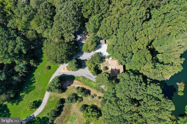 birds eye view of property featuring a forest view