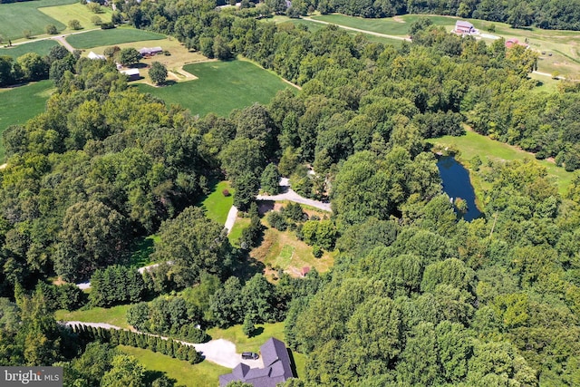 drone / aerial view with a forest view