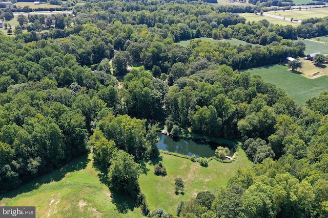 bird's eye view featuring a water view, a rural view, and a view of trees