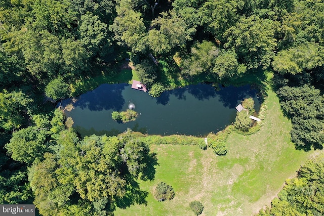 bird's eye view featuring a forest view and a water view