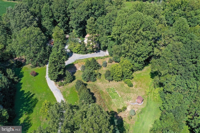 drone / aerial view featuring a view of trees