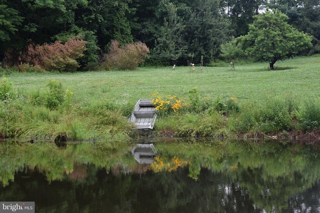 view of yard with a dock and a water view