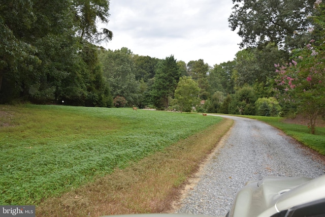 view of road with a view of trees