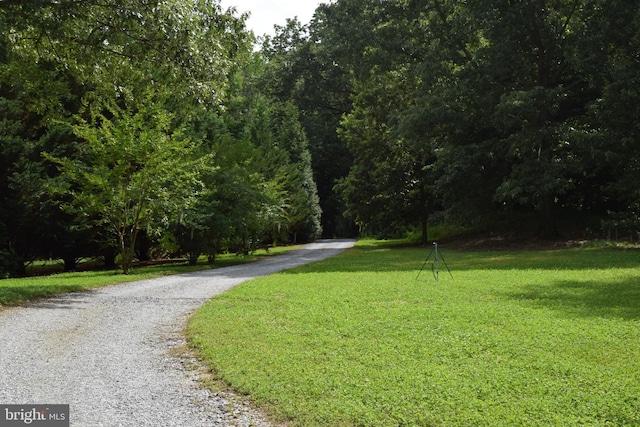 view of home's community with driveway and a yard