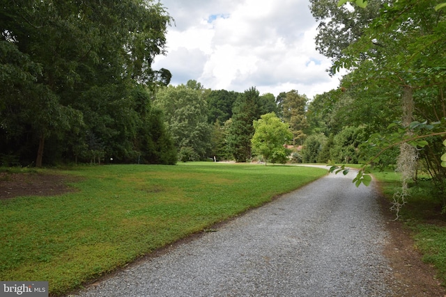 view of home's community with a lawn and driveway