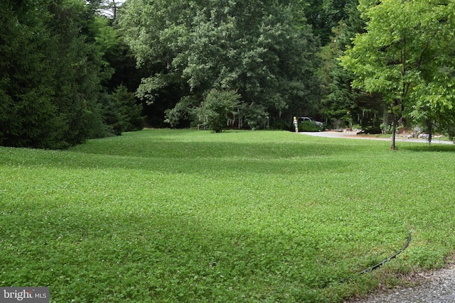 view of property's community featuring a yard