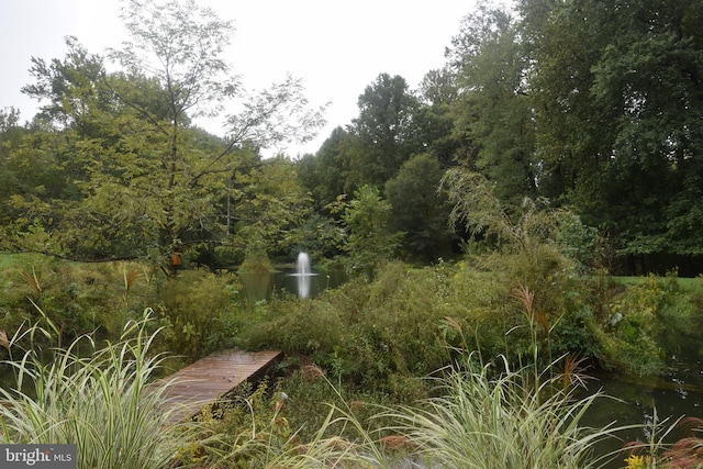 view of nature featuring a view of trees and a water view