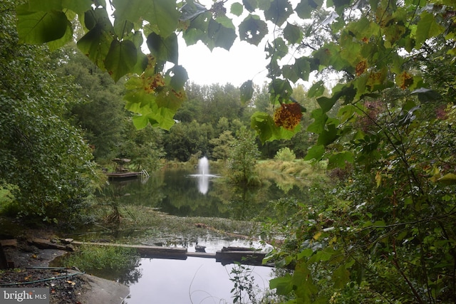 view of water feature