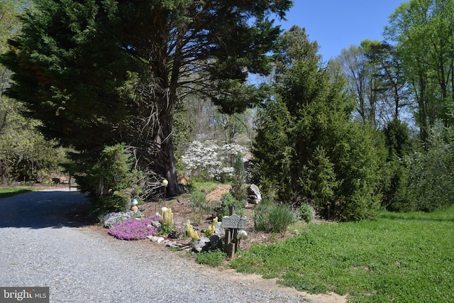 exterior space with gravel driveway