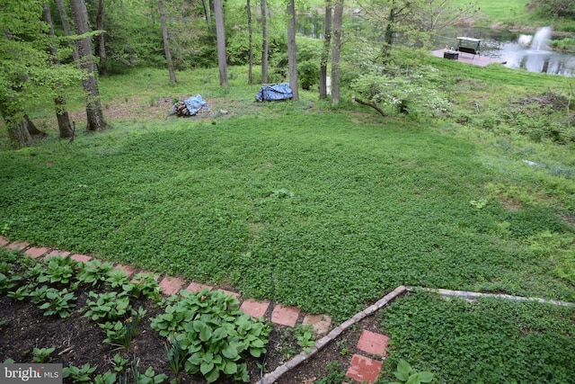 view of yard featuring a water view