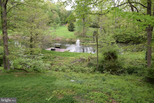 view of water feature featuring a wooded view