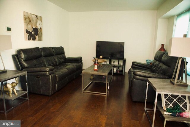 living room with dark wood-type flooring