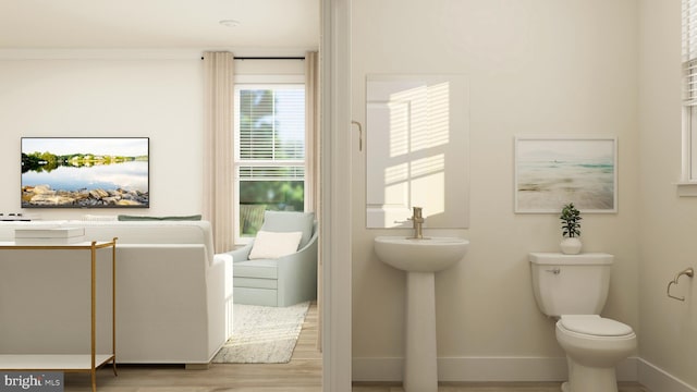 bathroom with hardwood / wood-style flooring and toilet