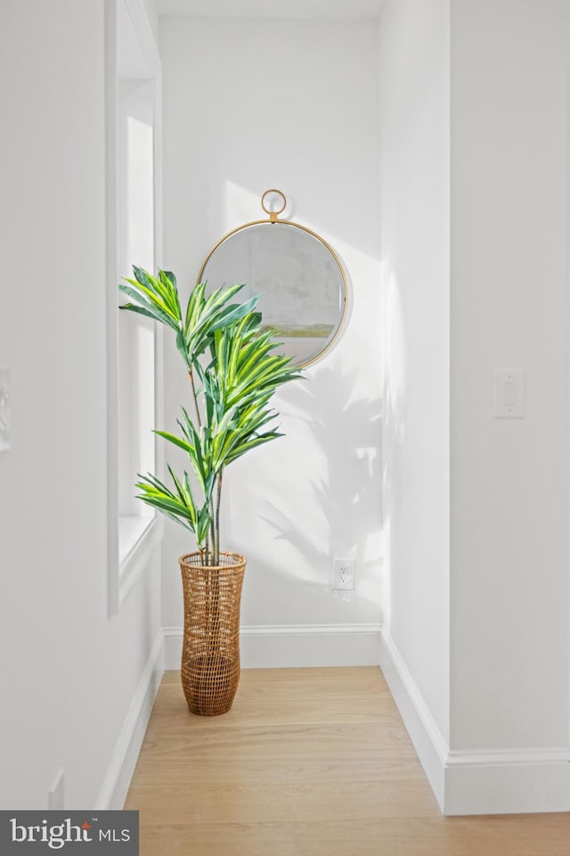 room details featuring wood-type flooring