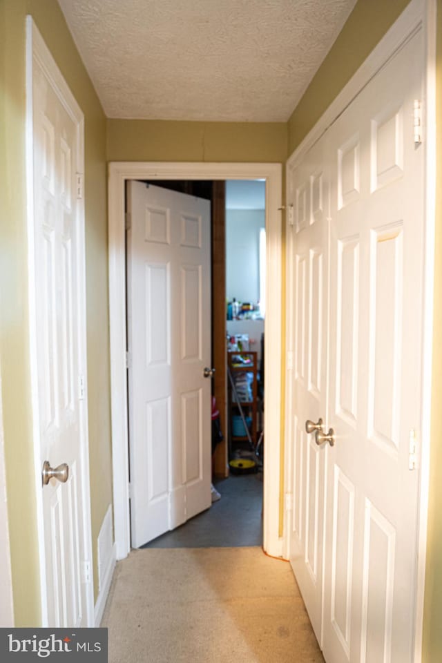 hallway featuring carpet and a textured ceiling