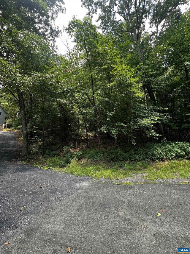 TBD Weeping Rock Ln Unit 35Laurel, Springs, Wintergreen Resort VA, 22967 land for sale