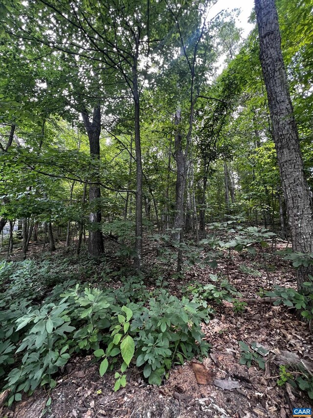 Listing photo 3 for TBD Weeping Rock Ln Unit 35Laurel, Springs, Wintergreen Resort VA 22967