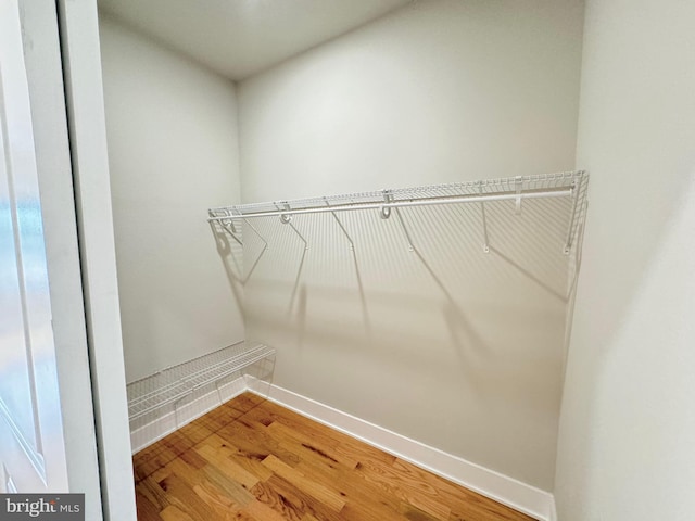 walk in closet with wood finished floors