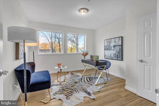 living area featuring light hardwood / wood-style flooring