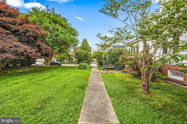 view of community with a lawn