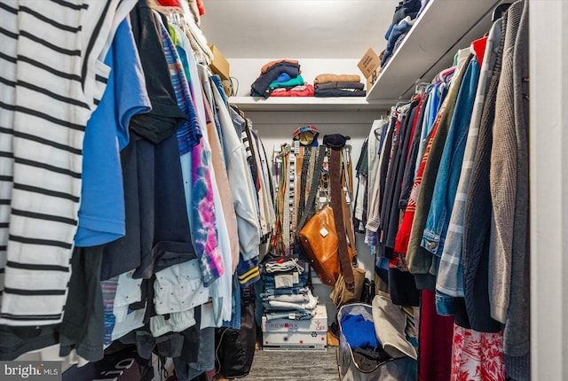 view of spacious closet