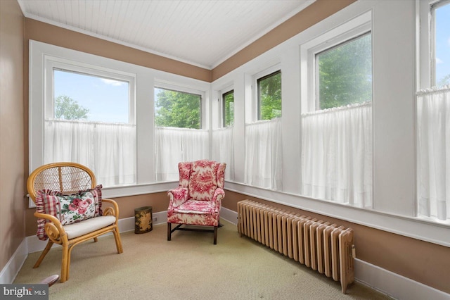 sunroom with radiator heating unit and a healthy amount of sunlight