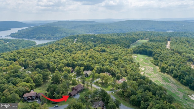 bird's eye view with a water and mountain view