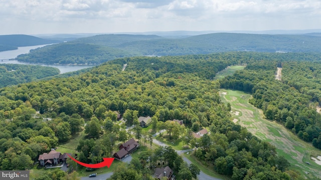 drone / aerial view with a wooded view and a water and mountain view