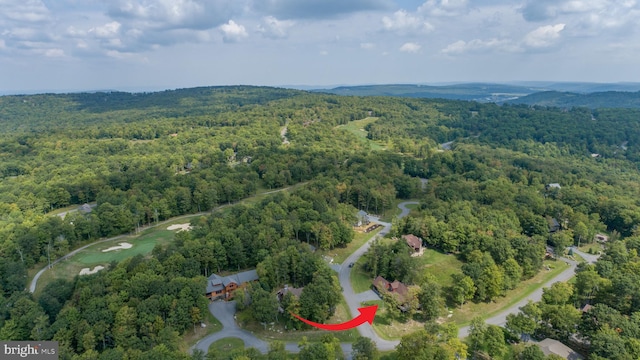 drone / aerial view featuring a view of trees