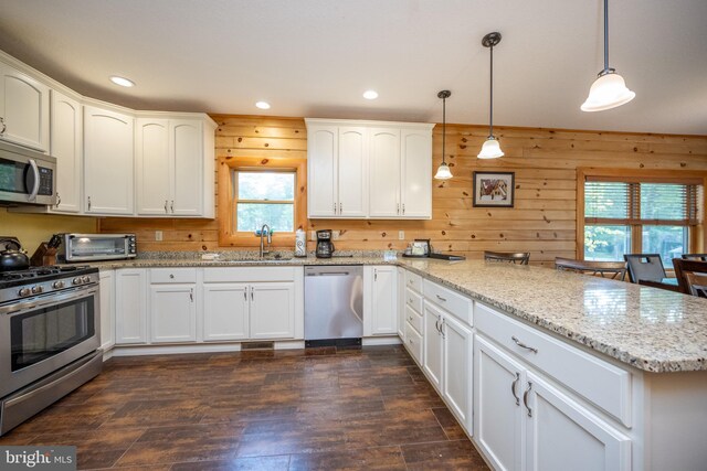 kitchen featuring pendant lighting, stainless steel appliances, sink, light stone countertops, and dark wood-type flooring