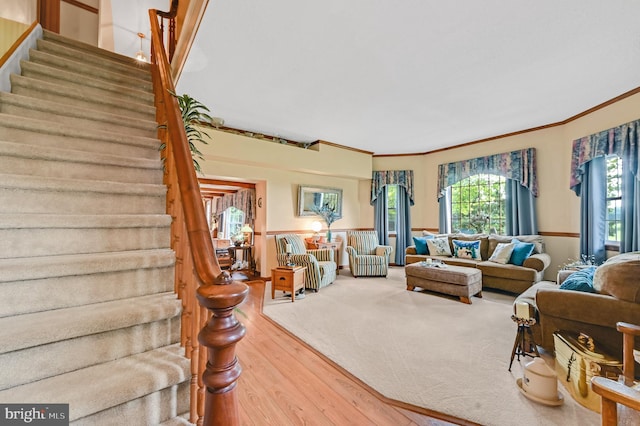 living room featuring crown molding and hardwood / wood-style flooring