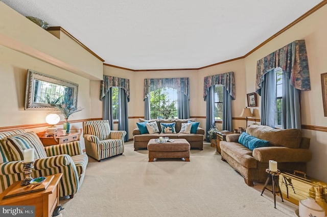 living room featuring carpet and ornamental molding