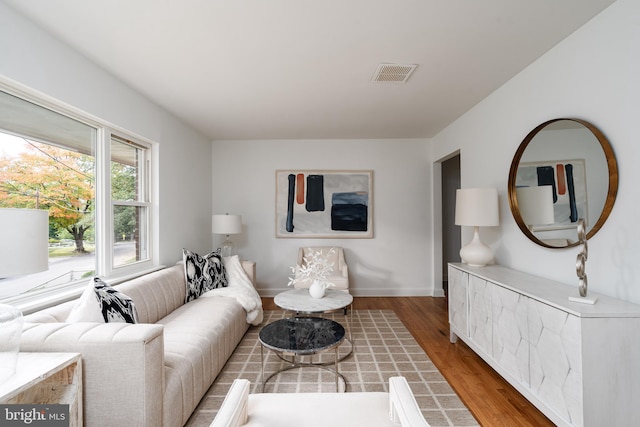 living room featuring hardwood / wood-style flooring