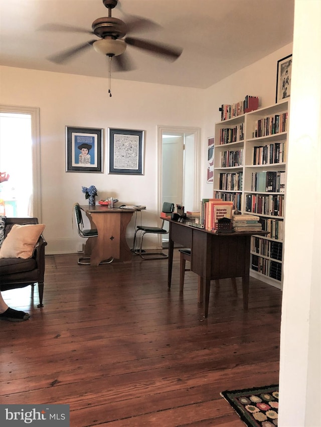 office featuring ceiling fan and dark hardwood / wood-style flooring