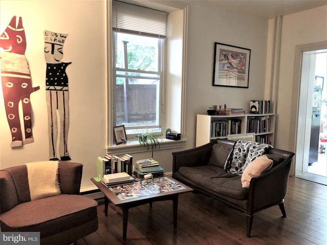 living room with wood-type flooring